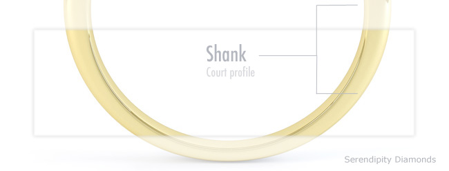 engagement rings anatomy - the shank